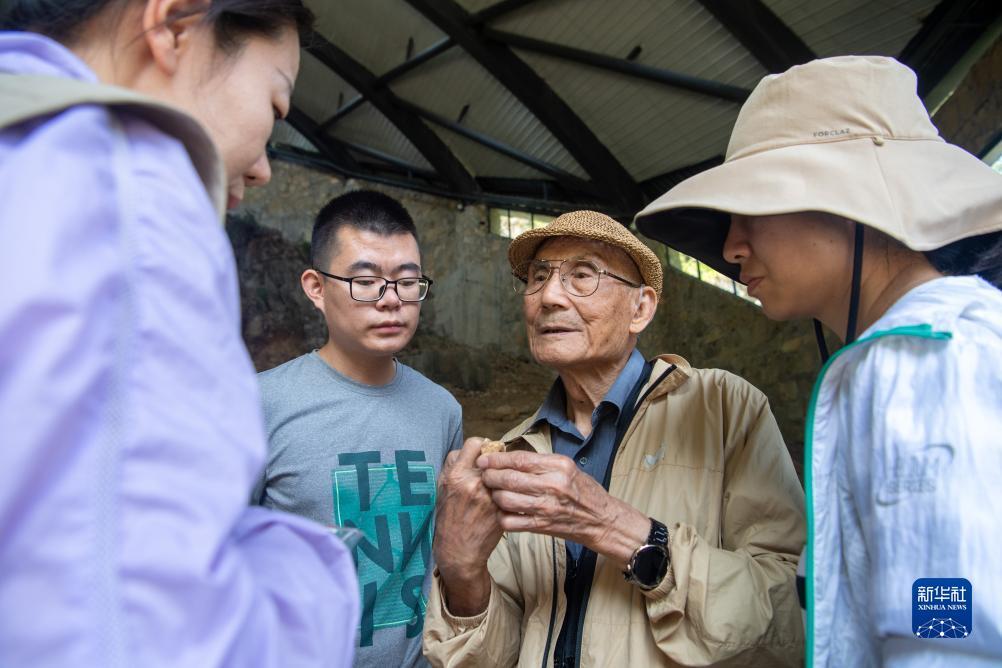新开网页足球游戏